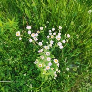 Meet your Posher, Maggie